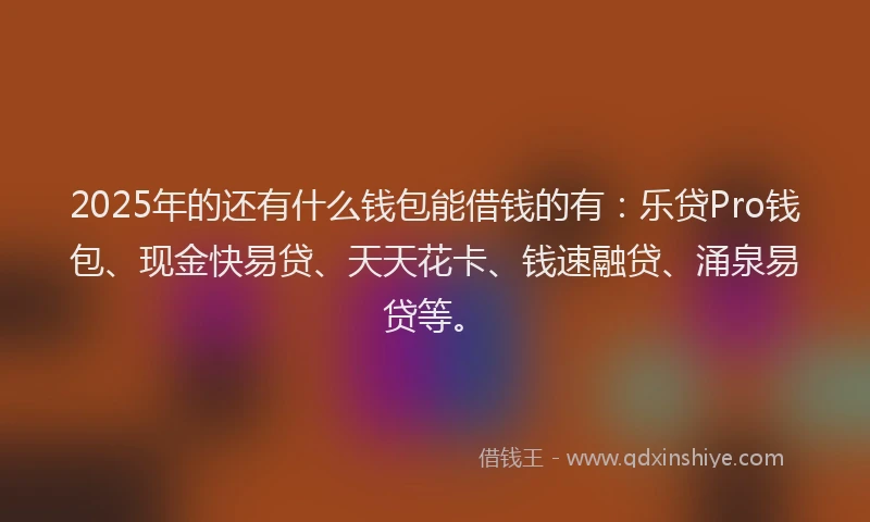 2025年的还有什么钱包能借钱的有：乐贷Pro钱包、现金快易贷、天天花卡、钱速融贷、涌泉易贷等。
