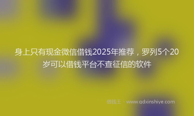 身上只有现金微信借钱2025年推荐，罗列5个20岁可以借钱平台不查征信的软件