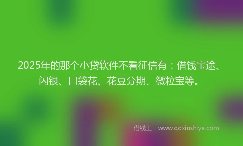 2025年的那个小贷软件不看征信有：借钱宝途、闪银、口袋花、花豆分期、微粒宝等。