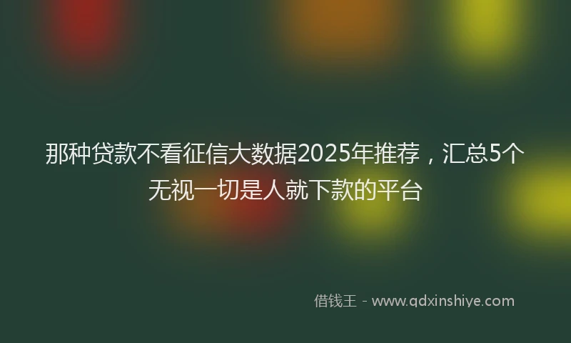那种贷款不看征信大数据2025年推荐，汇总5个无视一切是人就下款的平台