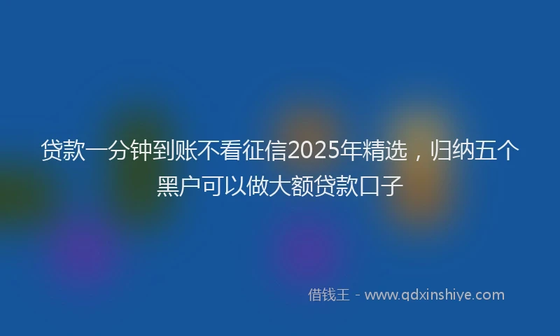 贷款一分钟到账不看征信2025年精选，归纳五个黑户可以做大额贷款口子