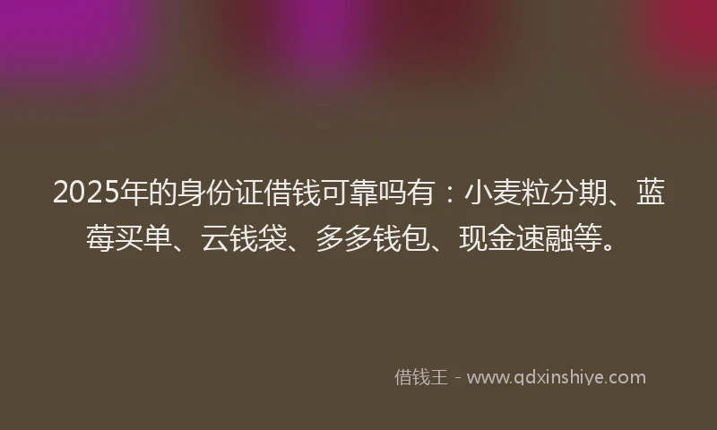 2025年的身份证借钱可靠吗有：小麦粒分期、蓝莓买单、云钱袋、多多钱包、现金速融等。