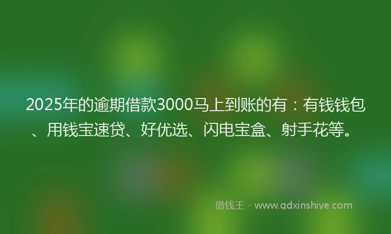2025年的逾期借款3000马上到账的有：有钱钱包、用钱宝速贷、好优选、闪电宝盒、射手花等。