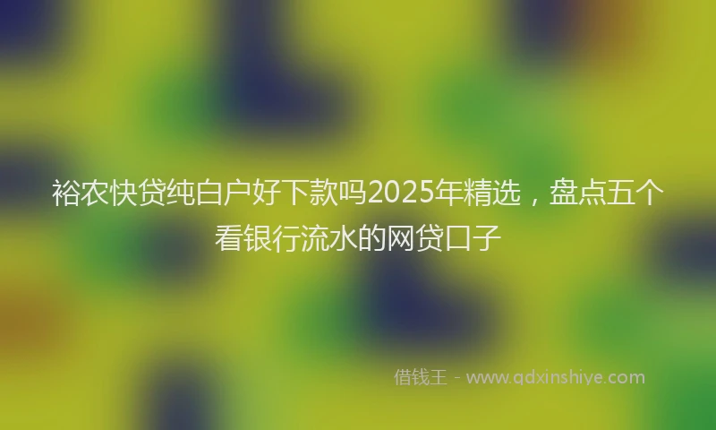 裕农快贷纯白户好下款吗2025年精选，盘点五个看银行流水的网贷口子