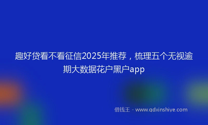 趣好贷看不看征信2025年推荐，梳理五个无视逾期大数据花户黑户app