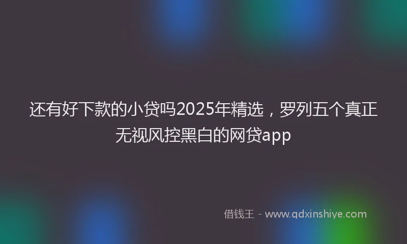 还有好下款的小贷吗2025年精选，罗列五个真正无视风控黑白的网贷app