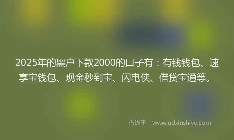 2025年的黑户下款2000的口子有：有钱钱包、速享宝钱包、现金秒到宝、闪电侠、借贷宝通等。