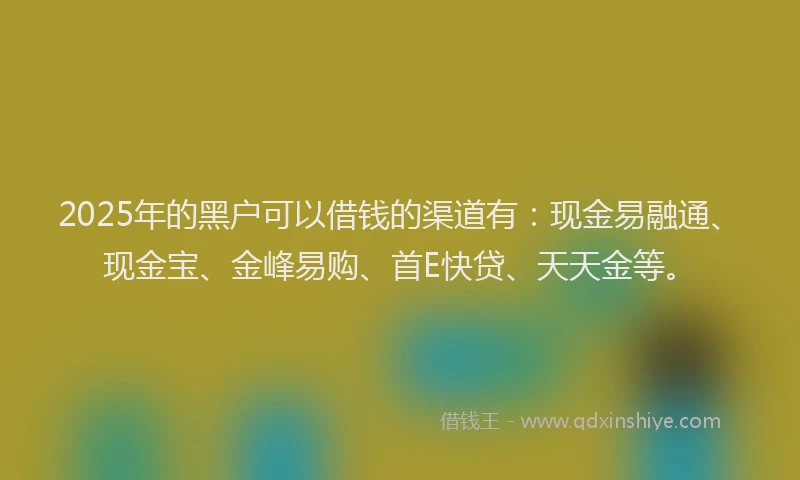 2025年的黑户可以借钱的渠道有：现金易融通、现金宝、金峰易购、首E快贷、天天金等。
