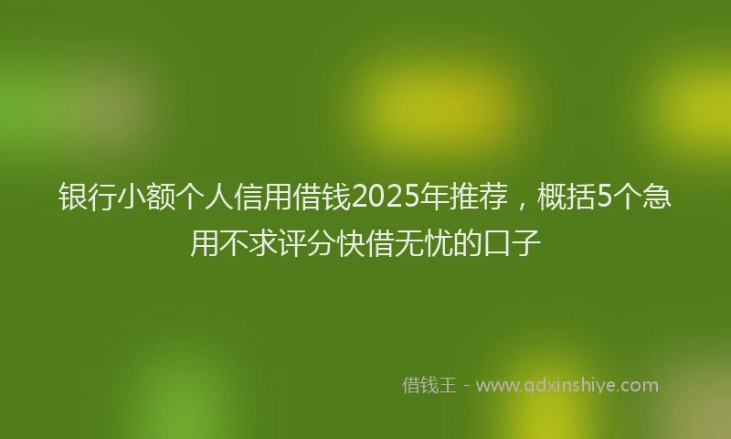 银行小额个人信用借钱2025年推荐，概括5个急用不求评分快借无忧的口子