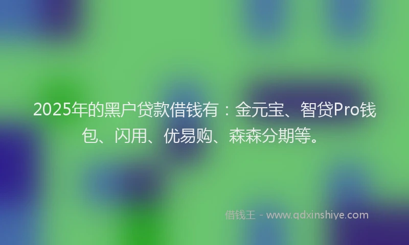 2025年的黑户贷款借钱有：金元宝、智贷Pro钱包、闪用、优易购、森森分期等。