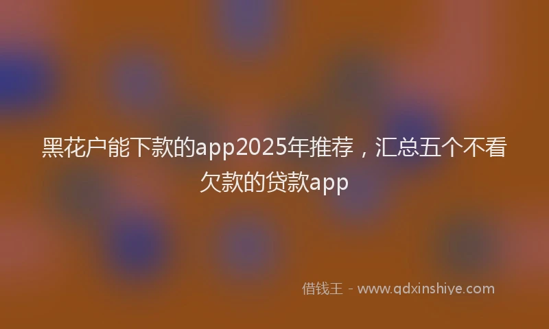 黑花户能下款的app2025年推荐，汇总五个不看欠款的贷款app