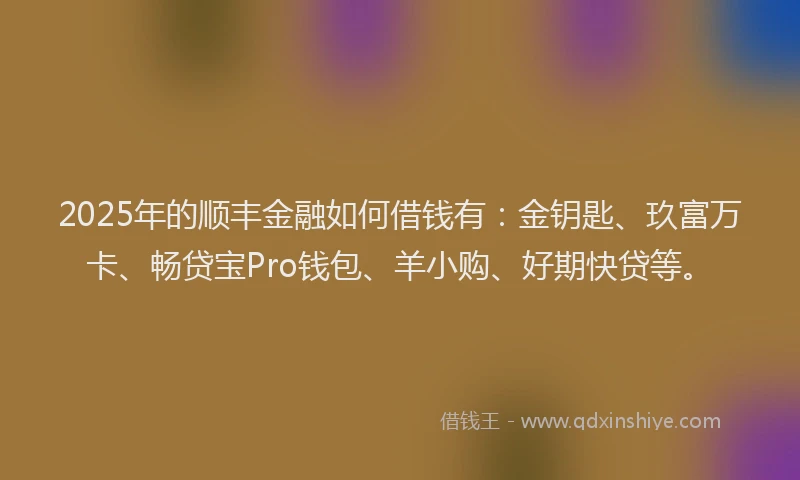 2025年的顺丰金融如何借钱有：金钥匙、玖富万卡、畅贷宝Pro钱包、羊小购、好期快贷等。