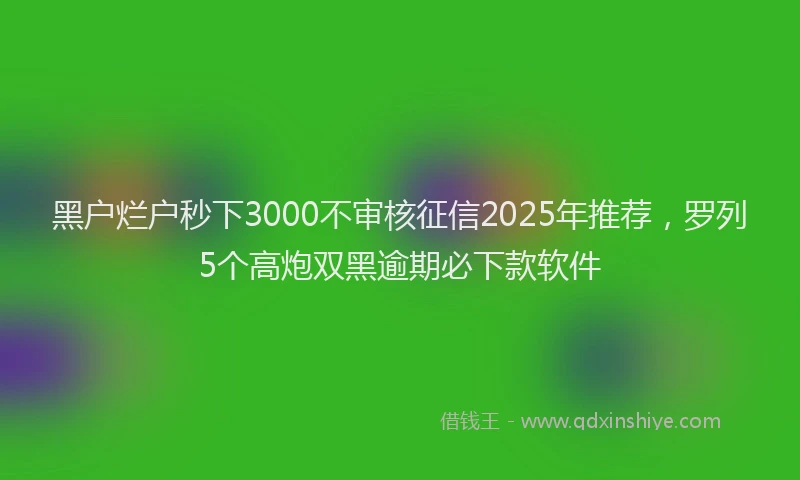 黑户烂户秒下3000不审核征信2025年推荐，罗列5个高炮双黑逾期必下款软件