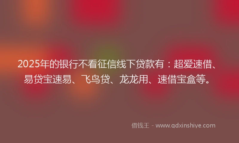 2025年的银行不看征信线下贷款有：超爱速借、易贷宝速易、飞鸟贷、龙龙用、速借宝盒等。