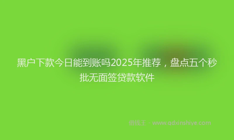 黑户下款今日能到账吗2025年推荐，盘点五个秒批无面签贷款软件