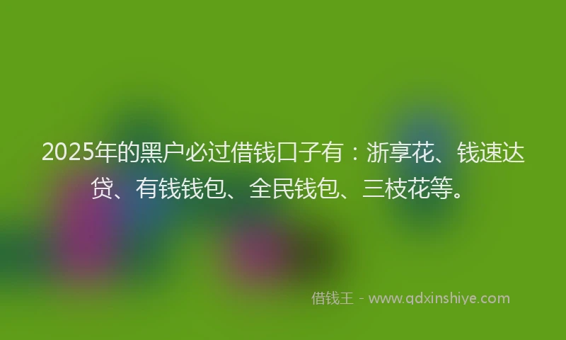 2025年的黑户必过借钱口子有：浙享花、钱速达贷、有钱钱包、全民钱包、三枝花等。