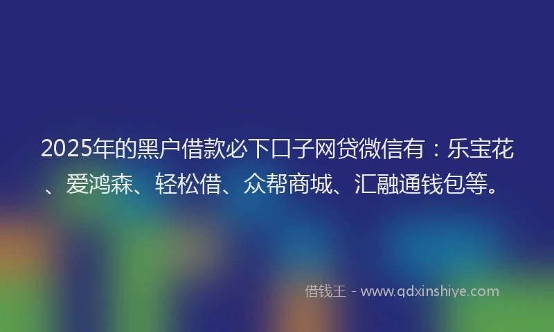 2025年的黑户借款必下口子网贷微信有：乐宝花、爱鸿森、轻松借、众帮商城、汇融通钱包等。