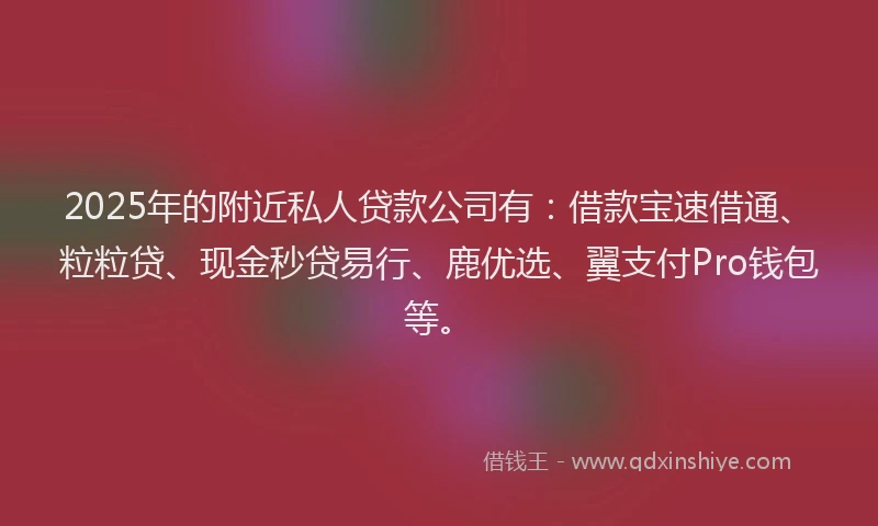2025年的附近私人贷款公司有：借款宝速借通、粒粒贷、现金秒贷易行、鹿优选、翼支付Pro钱包等。