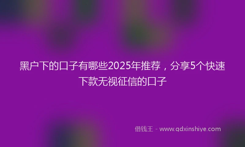 黑户下的口子有哪些2025年推荐，分享5个快速下款无视征信的口子