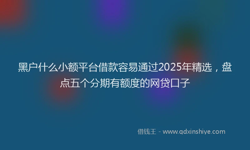 黑户什么小额平台借款容易通过2025年精选，盘点五个分期有额度的网贷口子