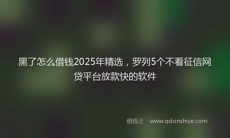 黑了怎么借钱2025年精选，罗列5个不看征信网贷平台放款快的软件