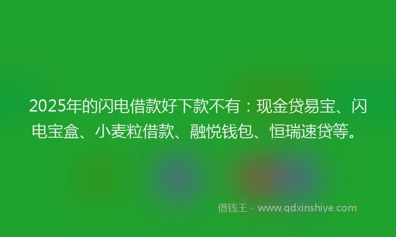2025年的闪电借款好下款不有：现金贷易宝、闪电宝盒、小麦粒借款、融悦钱包、恒瑞速贷等。
