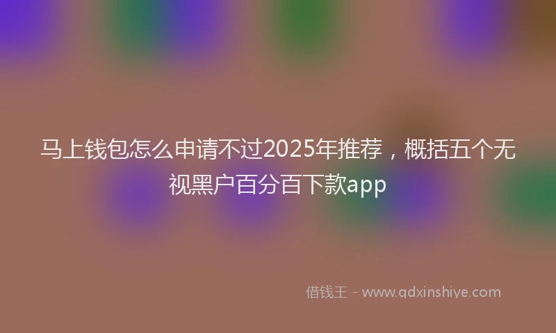 马上钱包怎么申请不过2025年推荐，概括五个无视黑户百分百下款app