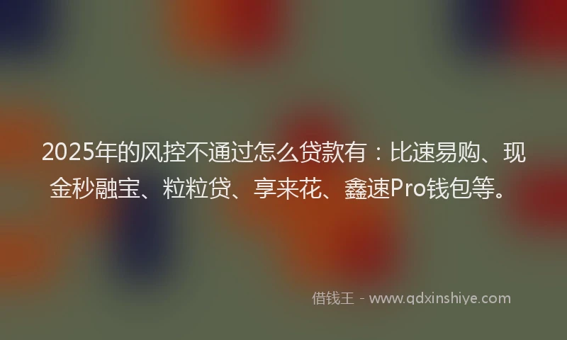 2025年的风控不通过怎么贷款有：比速易购、现金秒融宝、粒粒贷、享来花、鑫速Pro钱包等。