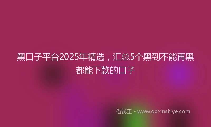 黑口子平台2025年精选，汇总5个黑到不能再黑都能下款的口子