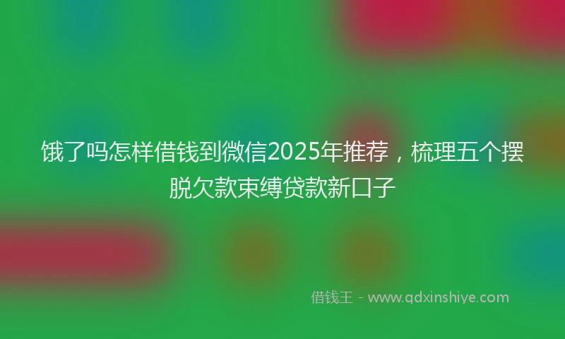 饿了吗怎样借钱到微信2025年推荐，梳理五个摆脱欠款束缚贷款新口子