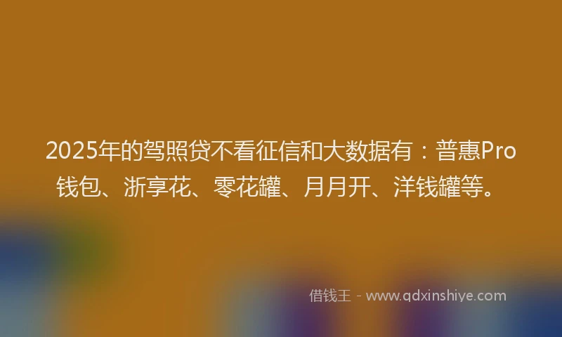 2025年的驾照贷不看征信和大数据有：普惠Pro钱包、浙享花、零花罐、月月开、洋钱罐等。