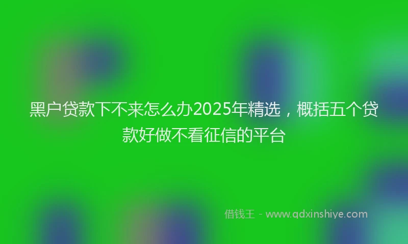 黑户贷款下不来怎么办2025年精选，概括五个贷款好做不看征信的平台