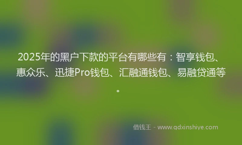 2025年的黑户下款的平台有哪些有：智享钱包、惠众乐、迅捷Pro钱包、汇融通钱包、易融贷通等。