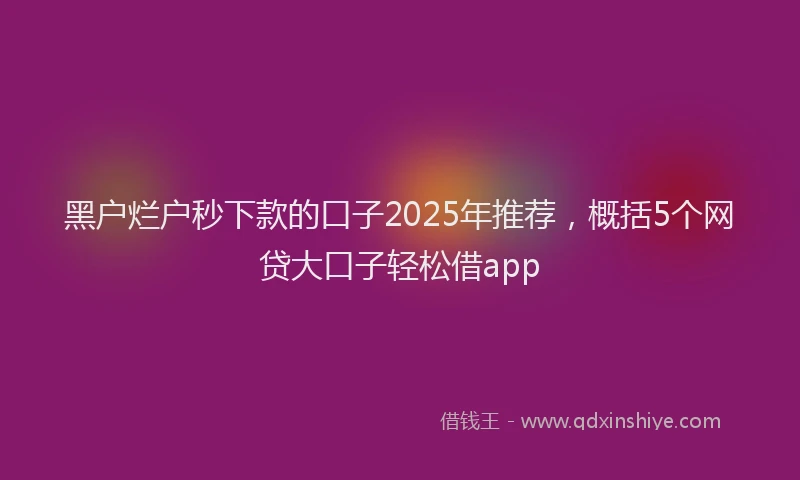 黑户烂户秒下款的口子2025年推荐，概括5个网贷大口子轻松借app