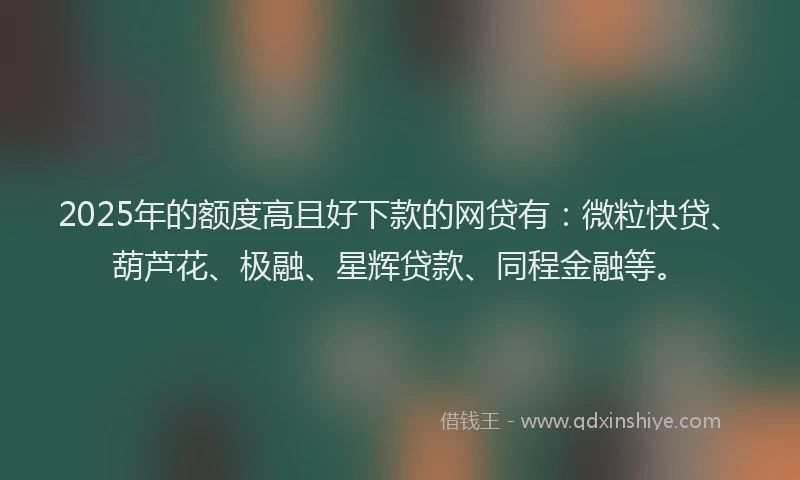 2025年的额度高且好下款的网贷有：微粒快贷、葫芦花、极融、星辉贷款、同程金融等。