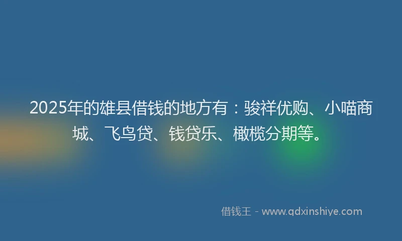 2025年的雄县借钱的地方有：骏祥优购、小喵商城、飞鸟贷、钱贷乐、橄榄分期等。