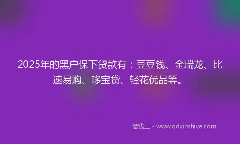 2025年的黑户保下贷款有：豆豆钱、金瑞龙、比速易购、哆宝贷、轻花优品等。