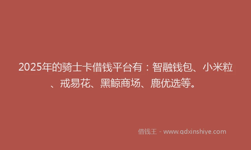 2025年的骑士卡借钱平台有：智融钱包、小米粒、戒易花、黑鲸商场、鹿优选等。