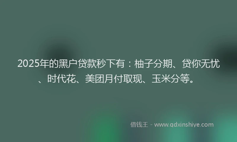 2025年的黑户贷款秒下有：柚子分期、贷你无忧、时代花、美团月付取现、玉米分等。