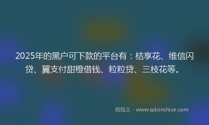 2025年的黑户可下款的平台有：桔享花、维信闪贷、翼支付甜橙借钱、粒粒贷、三枝花等。