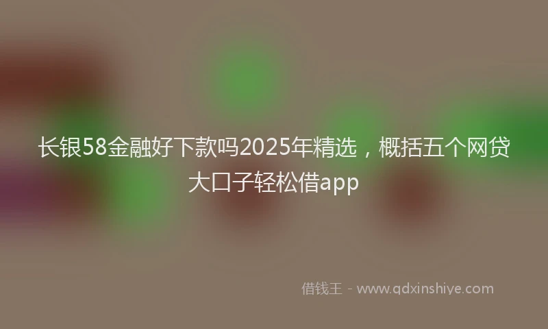 长银58金融好下款吗2025年精选，概括五个网贷大口子轻松借app