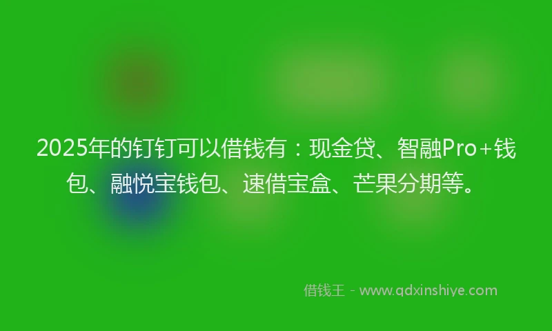 2025年的钉钉可以借钱有：现金贷、智融Pro+钱包、融悦宝钱包、速借宝盒、芒果分期等。