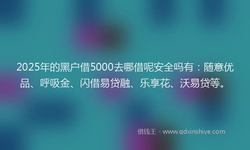 2025年的黑户借5000去哪借呢安全吗有：随意优品、呼吸金、闪借易贷融、乐享花、沃易贷等。