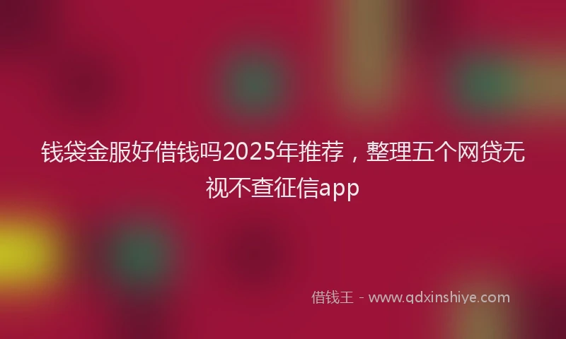 钱袋金服好借钱吗2025年推荐，整理五个网贷无视不查征信app