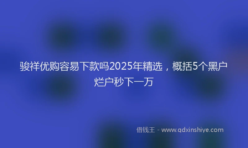 骏祥优购容易下款吗2025年精选，概括5个黑户烂户秒下一万