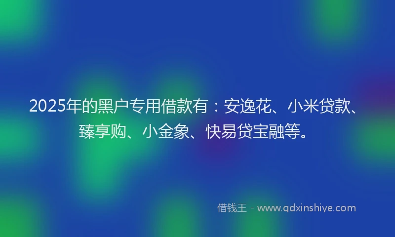 2025年的黑户专用借款有：安逸花、小米贷款、臻享购、小金象、快易贷宝融等。