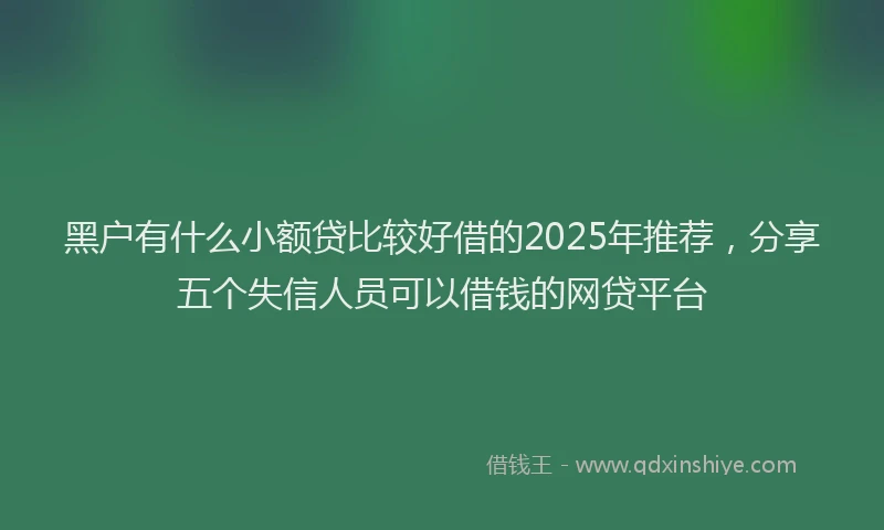 黑户有什么小额贷比较好借的2025年推荐，分享五个失信人员可以借钱的网贷平台