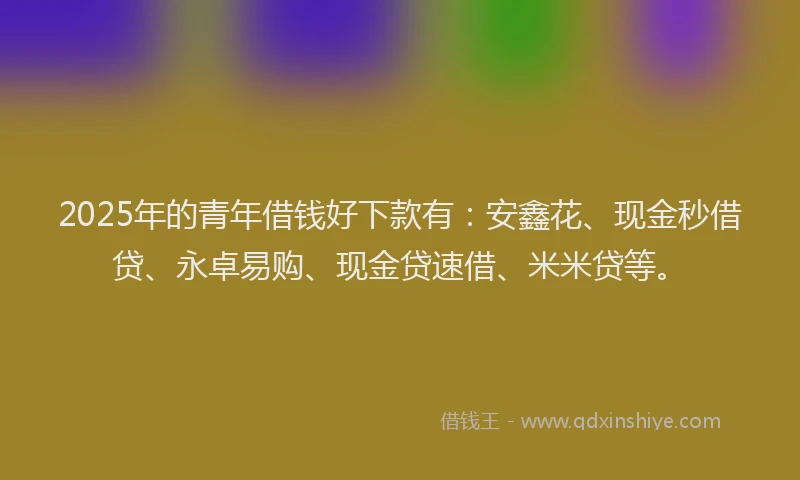 2025年的青年借钱好下款有：安鑫花、现金秒借贷、永卓易购、现金贷速借、米米贷等。