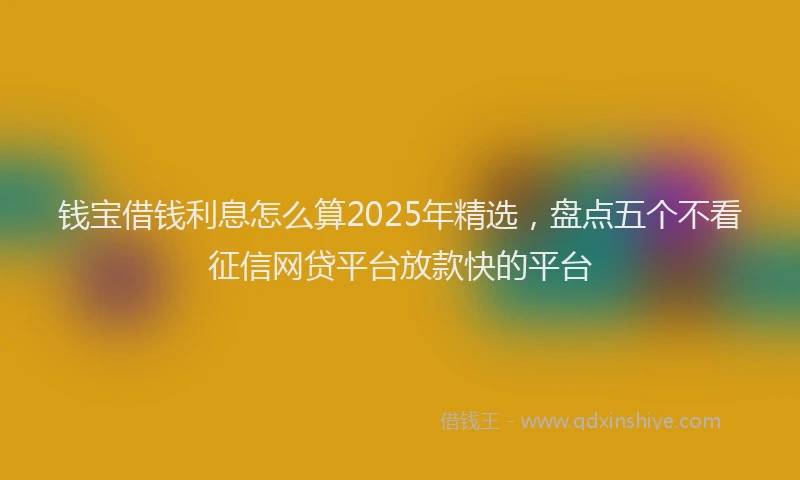 钱宝借钱利息怎么算2025年精选，盘点五个不看征信网贷平台放款快的平台