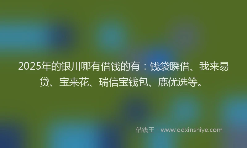2025年的银川哪有借钱的有：钱袋瞬借、我来易贷、宝来花、瑞信宝钱包、鹿优选等。